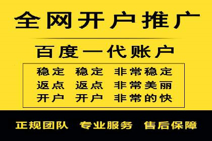 低成本高回报：百度竞价代理成功案例分析